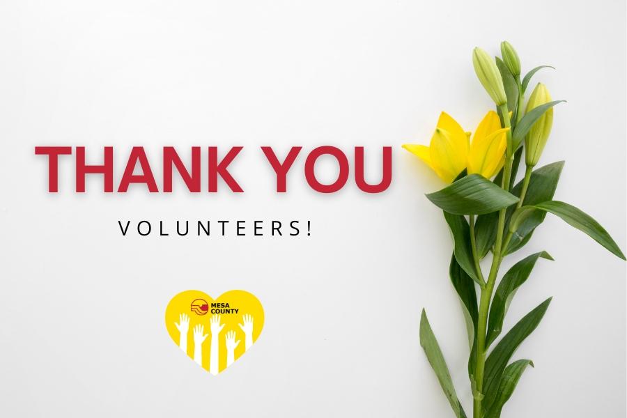 Yellow flower and red and black text reading, "Thank you volunteers."