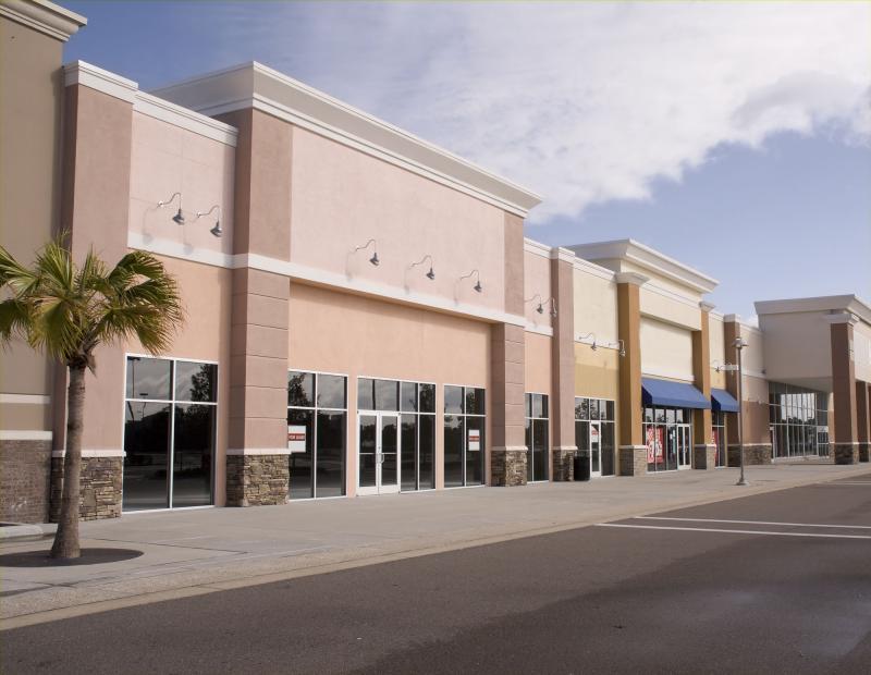 Photograph of store fronts in a business complex with light pole, palm tree, and for lease signs in windows