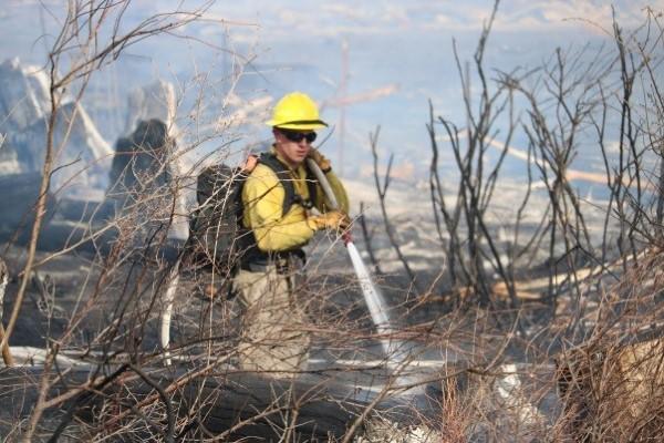 Photograph of Worker Fighting Fire with water shooting from hose and burned brush and trees