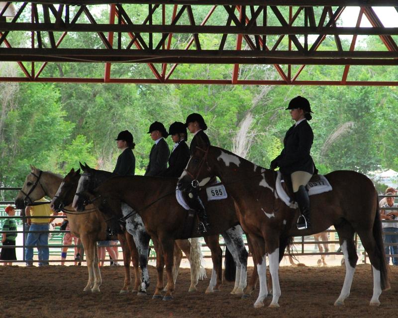 Photograph of United Companies Arena with five women on horses dressed in equestrian show clothing participating in horse show