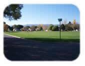 Photograph of grass field area with mature trees and houses in the background