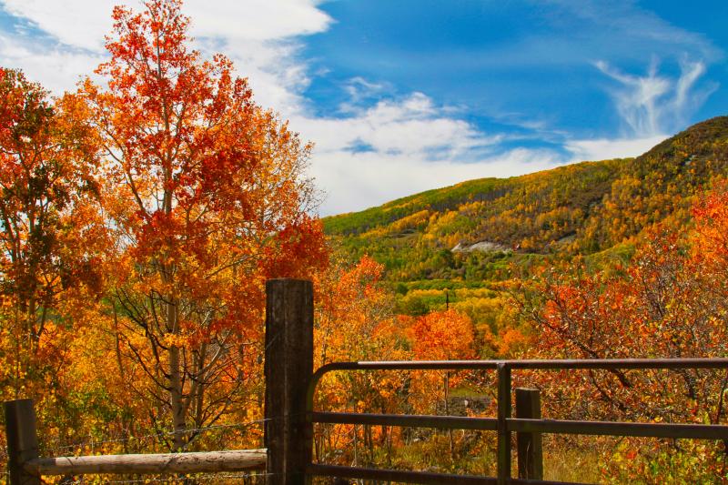 Gate on Grand Mesa in Autumn