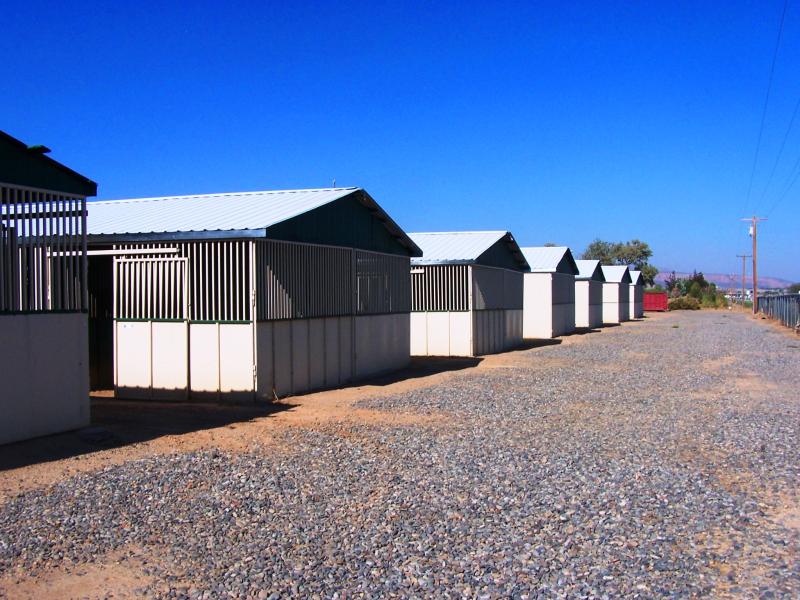 Photograph of north barns exterior view of buildings