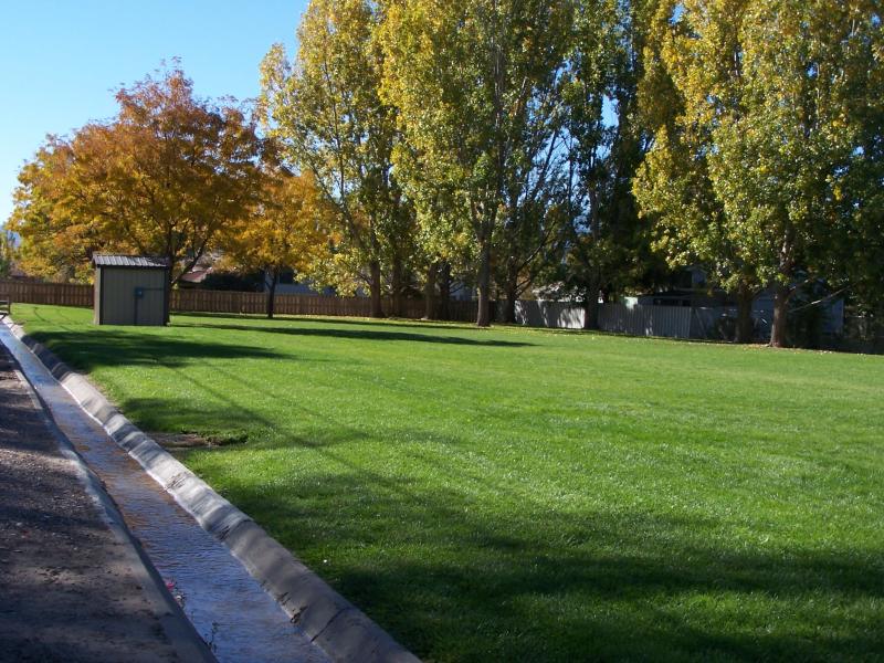 Photograph of green grass and mature trees