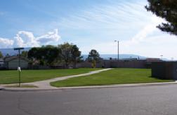 wide view of the park with grass, paved path, and trees 