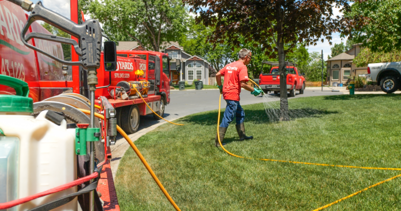 A man sprays pesticide on a lawn to treat Japenese Beetle grubs.