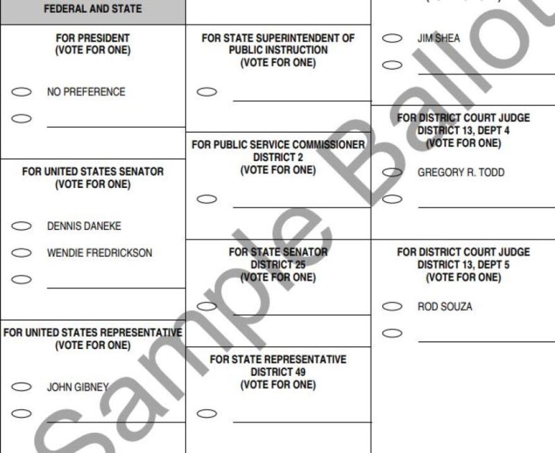 sample ballot picture