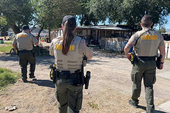 Three Mesa County Sheriff's Deputies walk towards a house in Clifton, CO.