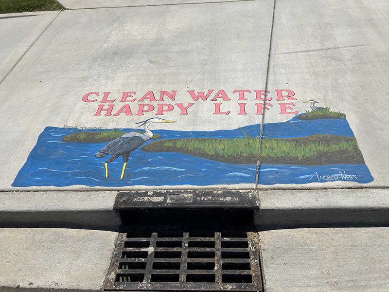 Text that says Clean Water Happy Life and art showing blue herons around water and small river islands.