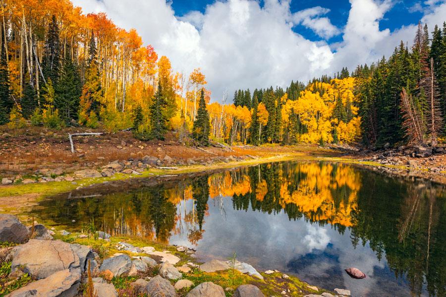 Grand Mesa in the fall