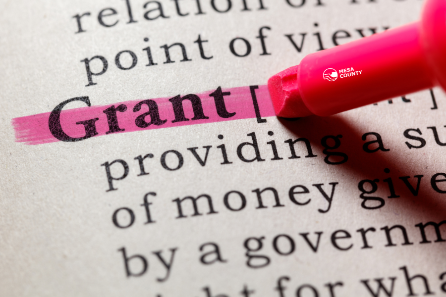 A pink highlighter highlights the word "grant"