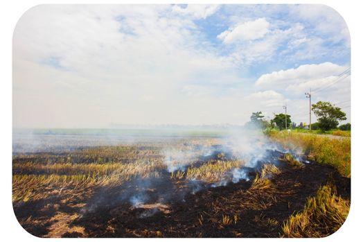 Picture of field with charred sections and plumes of smoke.